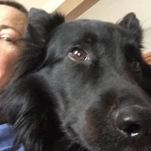 Meet your Posher, Dawn